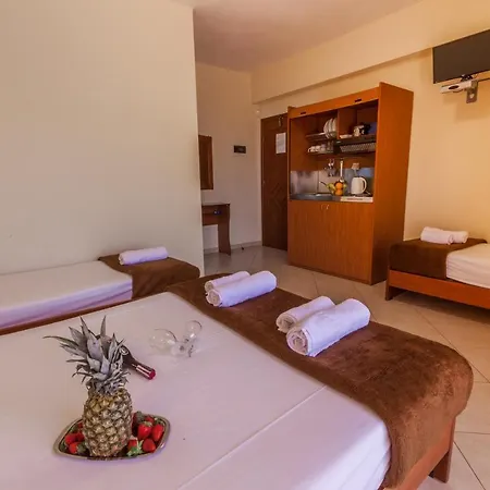 Villa Morfeas Паралия-Катерини Номер фото